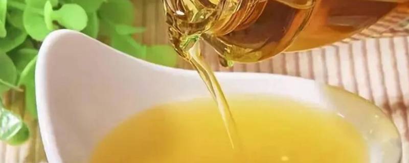 菜籽油过期了怎么处理 菜籽油过期了怎么处理好