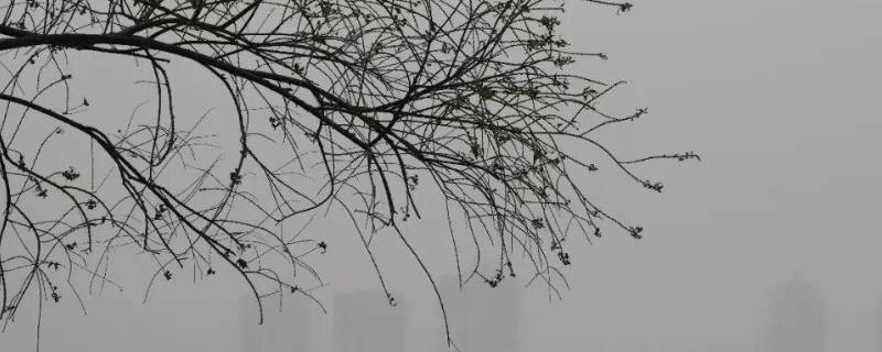 什么天气系统造成的大风为多（什么天气系统造成的大风为多发生）