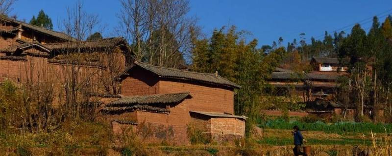 村里建个群叫什么名字 村里建个群叫什么名字呢