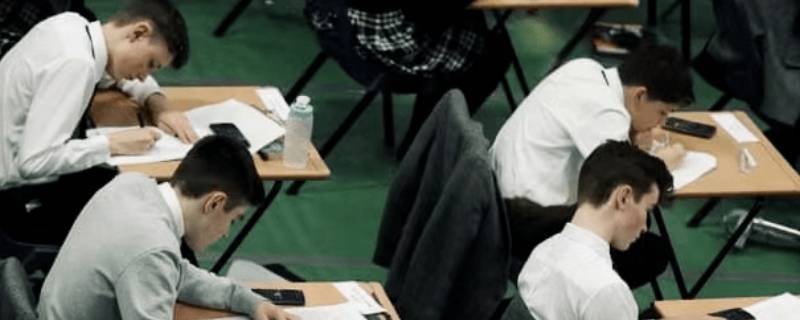 职场内卷指的什么（职场上的卷是什么意思）