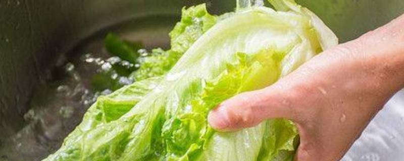 广东过年葱和生菜寓意 广东过年放葱生菜