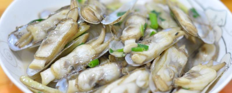 蛏子怎么读 蛏怎么读 拼音