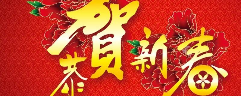 春节文化的收获和感悟（春节文化的收获和感悟简短）