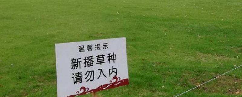 关于爱护草坪的宣传标语 爱护草坪的标语宣传语