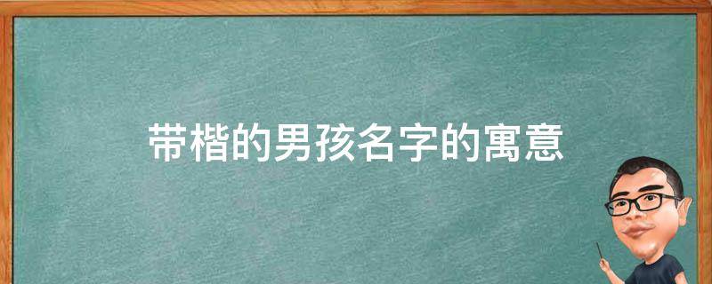 带楷的男孩名字的寓意 带楷的男孩名字的寓意是什么