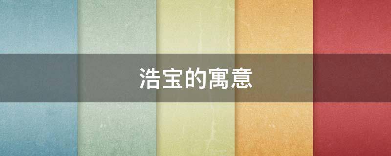 浩宝的寓意（浩海的寓意）