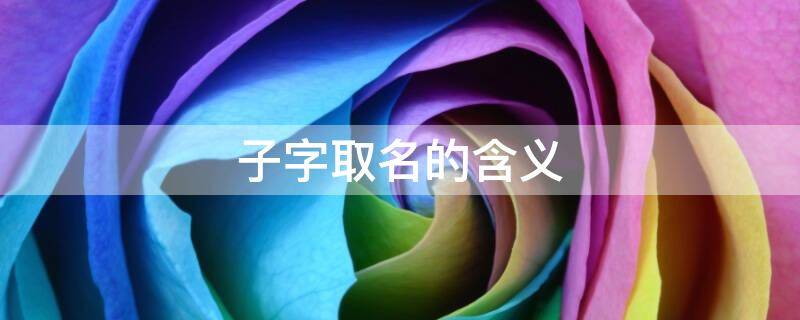 子字取名的含义 子字取名的含义 男孩