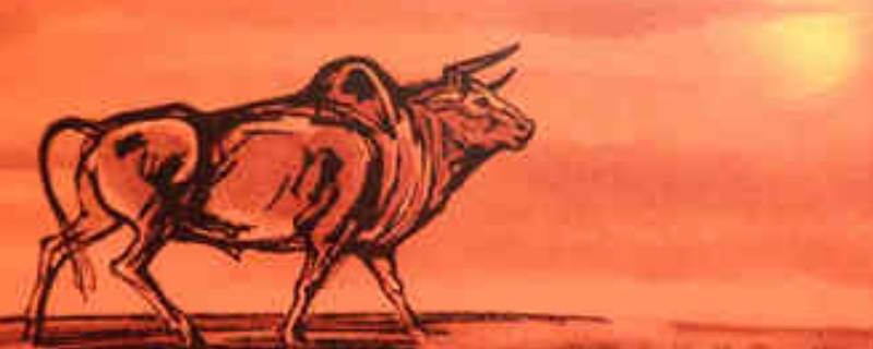 关于牛年的小知识（牛年小常识）