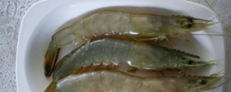 虾3040规格是什么意思（海虾3040是什么意思）