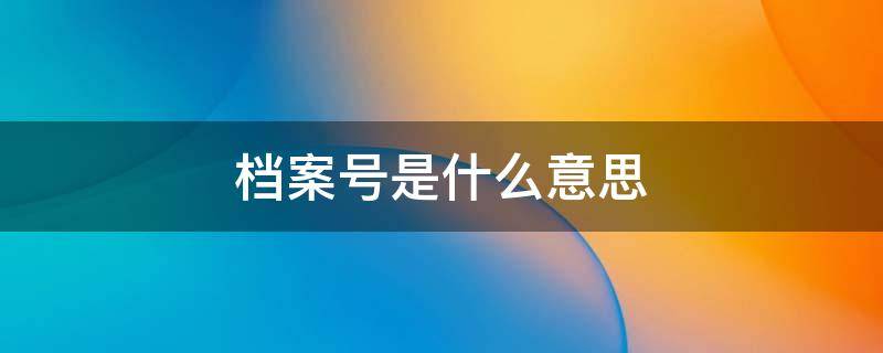 档案号是什么意思 档案号是什么意思能说明一点吗