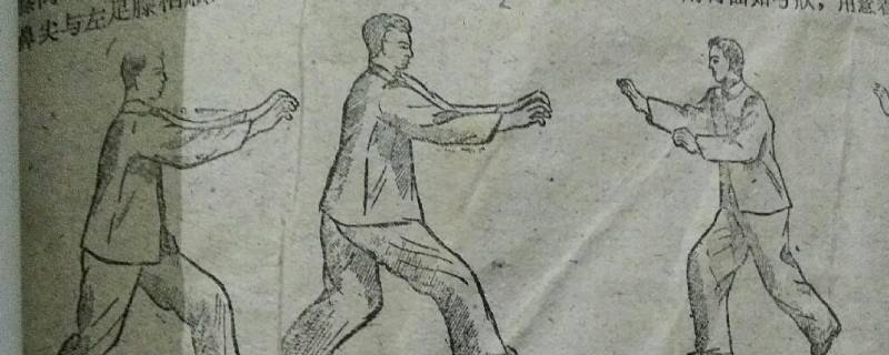五禽是哪五畜 五禽是哪五畜