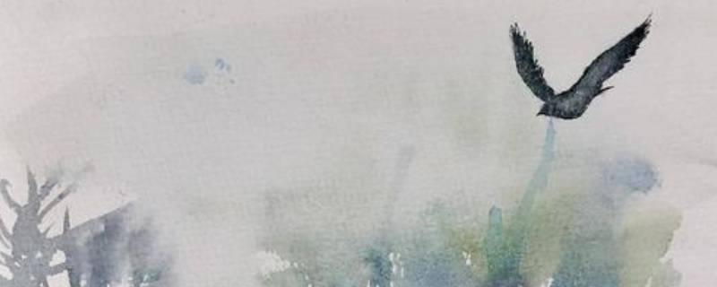 无脚鸟的寓意是什么（无脚鸟象征什么）