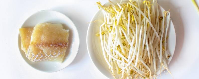 绿豆芽可以长多高 绿豆芽可以长多高啊