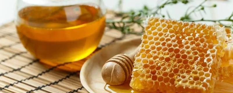 蜂蜜水要热水还是冷水泡（蜂蜜水用开水还是冷水泡效果才好）