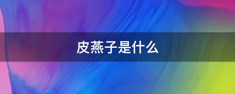 皮燕子是什么 皮燕子是什么器官