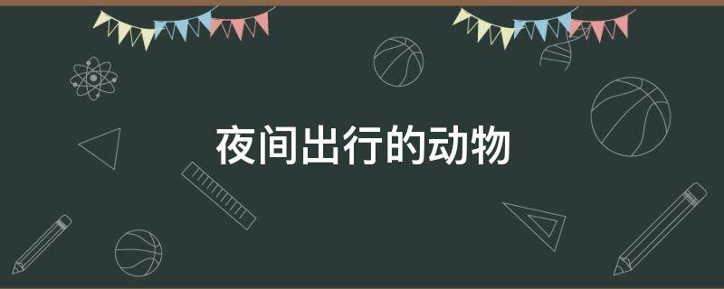 夜间出行的动物（夜间出行的鸟类）
