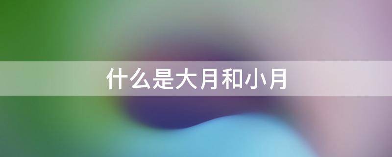 什么是大月和小月（大月小月分别是什么意思）