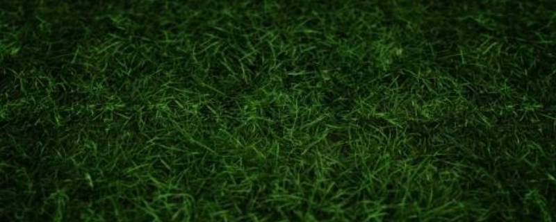 绿色加什么颜色变深绿（颜料调色表大全）