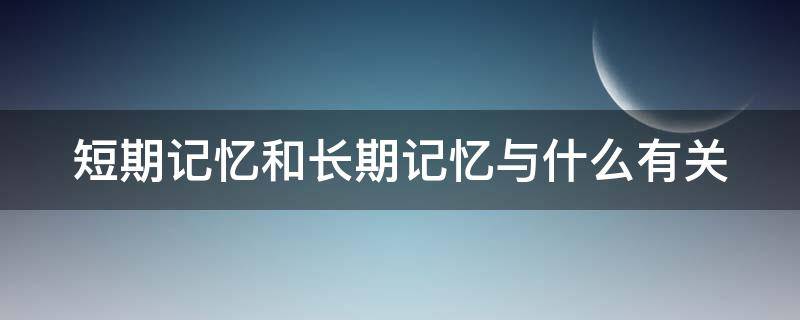 短期记忆和长期记忆与什么有关（短期记忆和长期记忆与什么有关系）