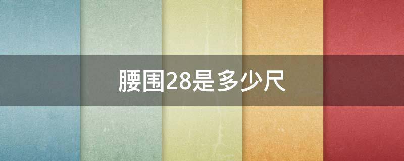 腰围28是多少尺（腰围28是多少尺寸的）