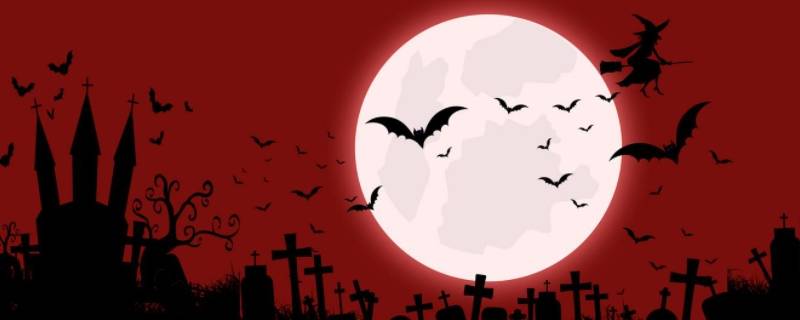 蝙蝠是一种小型兽类还是昆虫（蝙蝠是一种小型兽类还是昆虫呢）