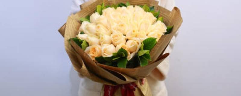 33朵香槟玫瑰代表什么意思 33朵香槟玫瑰多少钱