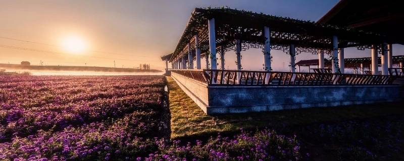 九洲伊甸园热带植物园在哪里 九州伊甸园热带植物馆