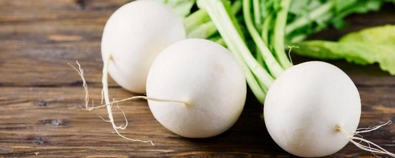 蛮茎是什么菜（蛮茎是什么菜怎么吃）