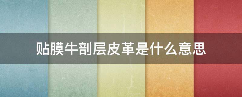 贴膜牛剖层皮革是什么意思 贴面牛剖层革
