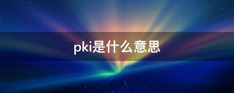 pki是什么意思 pki是指什么