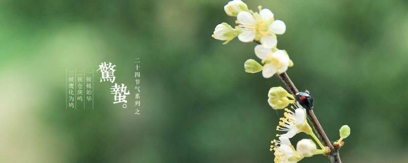 惊蛰到来后会有什么变化 惊蛰到来后会有什么变化发生