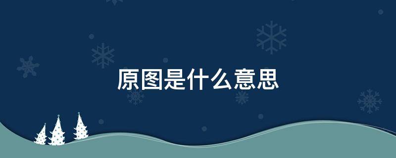 原图是什么意思（微信发原图是什么意思）