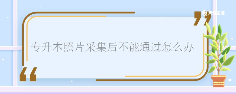 专升本照片采集后不能通过怎么办 专升本照片采集后不能通过怎么回事