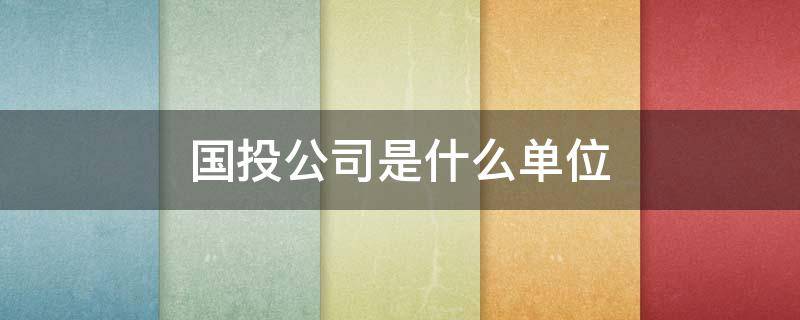 国投公司是什么单位（国投公司是什么单位好不好进）