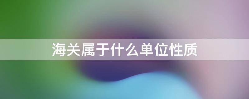 海关属于什么单位性质 机场海关属于什么单位性质