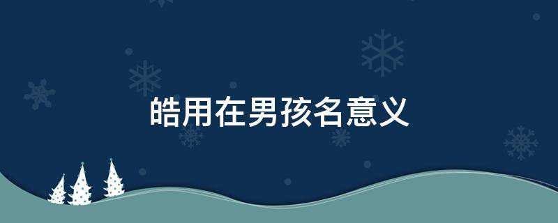 皓用在男孩名意义（昊用在男孩名意义）