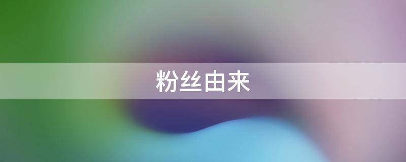 粉丝由来 粉丝 百科
