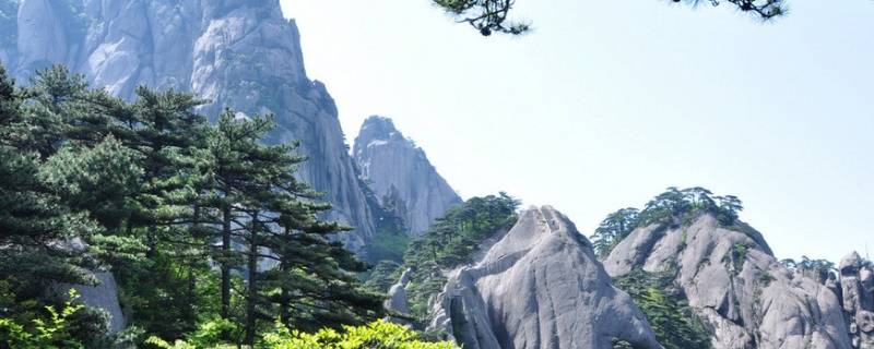 安徽籍贯 安徽籍贯填什么