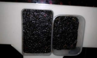 阿胶要放冰箱吗（阿胶要放冰箱吗?夏天）