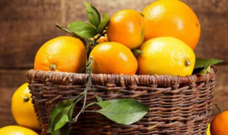 脐橙可以放冰箱保鲜吗（脐橙可以放冰箱保鲜吗多久）