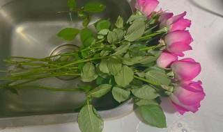 怎么醒花（怎么醒花视频）