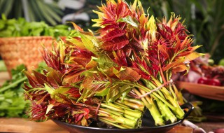 香椿放冰箱里可以吃吗（香椿可以直接放冰箱吗）