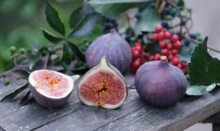 无花果能放冰箱冷藏吗 无花果可以放冰箱里面保鲜吗