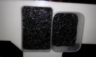 阿胶可以放冰箱冷冻吗 阿胶可以放冰箱冷冻吗