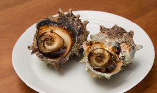 海螺能放冰箱冷冻吗（海螺可以放冰箱冷冻吗?）
