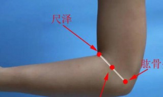 手肘是哪个部位（手肘是哪个部位图片）