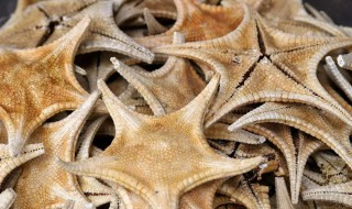 海星干清洗方法（干海星如何清洗才干净）