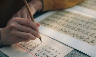 毛笔第一次泡多长时间（毛笔字第一次用泡多久）